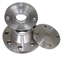 Hastelloy Flanges