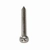 Monel Screws