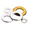 Plain Washers